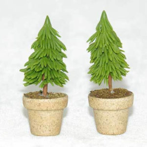 Mini pine trees in pot (2)