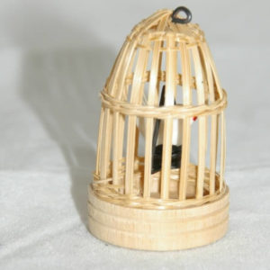 Bird cage with bird