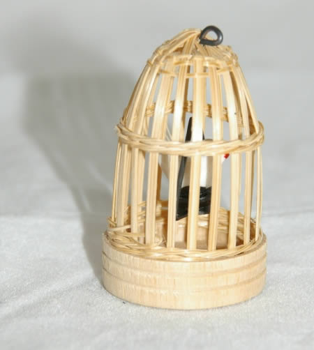 Bird cage with bird