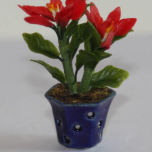 Blue china pot with poinsettia