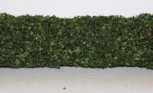 Green hedge fencing-small