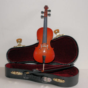 Cello and bow in case