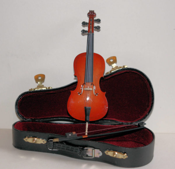 Cello and bow in case