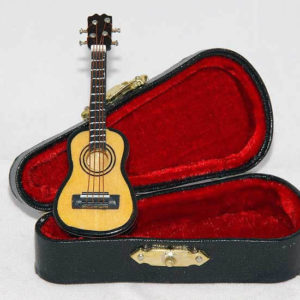 Acoustic guitar