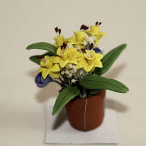 Pot plant with yellow jonquils