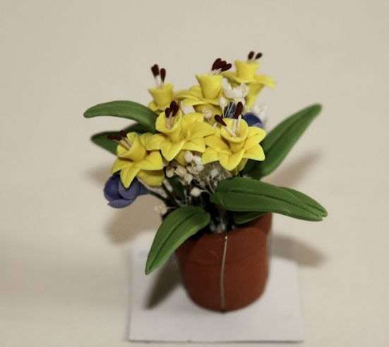 Pot plant with yellow jonquils