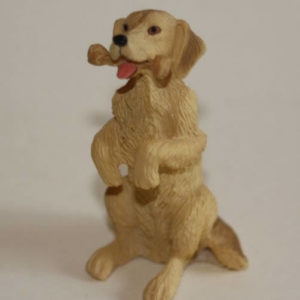 Labrador sitting dog with bone