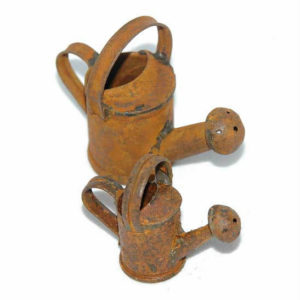 Rusty large  only - Watering Can