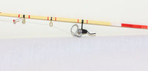 Fishing Rod and Reel -2